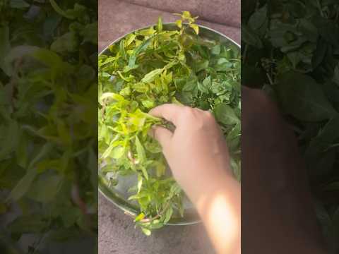 cover of previous post
